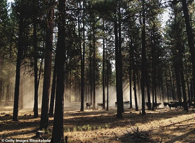 Oregon's Ballot Initiative Aims to End Hunting, Fishing, Redefining Wildlife Protections