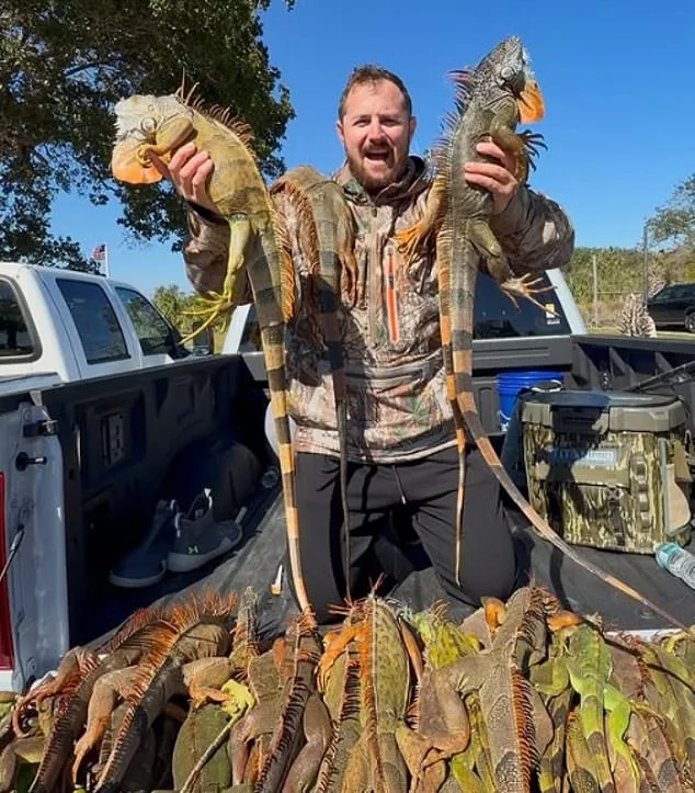 Florida Pizza Shop's Iguana Meat Prank Ignites Controversy