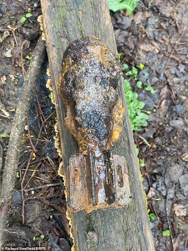 Fishing Trip Turns into Emergency as WWII Mortar Shell Unearthed in Dorset