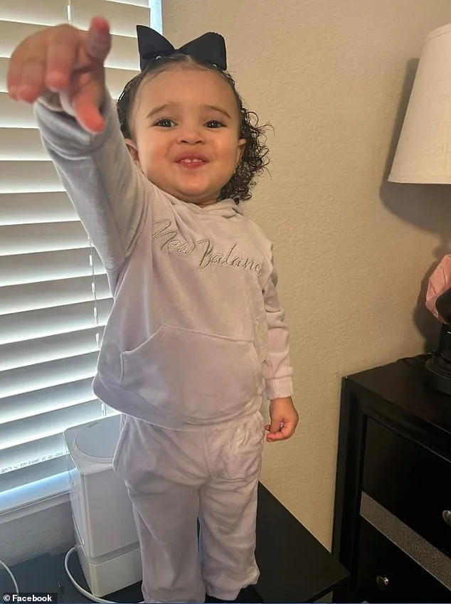 Arizona Toddler Abduction: Security Guard and Moving Crew Stage Dramatic Rescue