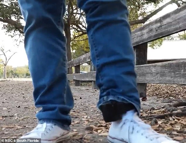 IT Specialist Detained at Florida's Alligator Alcatraz Amid New Immigration Policy Shift