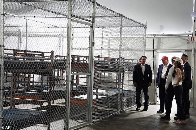 IT Specialist Detained at Florida's Alligator Alcatraz Amid New Immigration Policy Shift