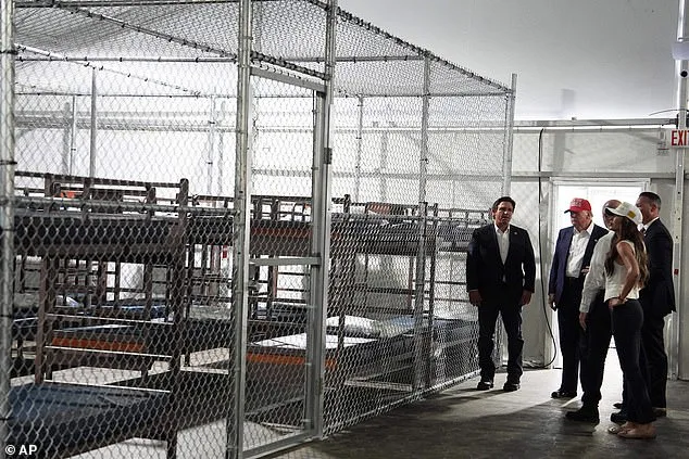 IT Specialist Detained at Florida's Alligator Alcatraz Amid New Immigration Policy Shift