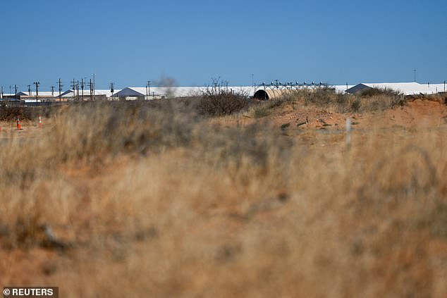 ICE Detains Irish Immigrant Amid Torture Claims, Visa Overstay, and Domestic Violence History