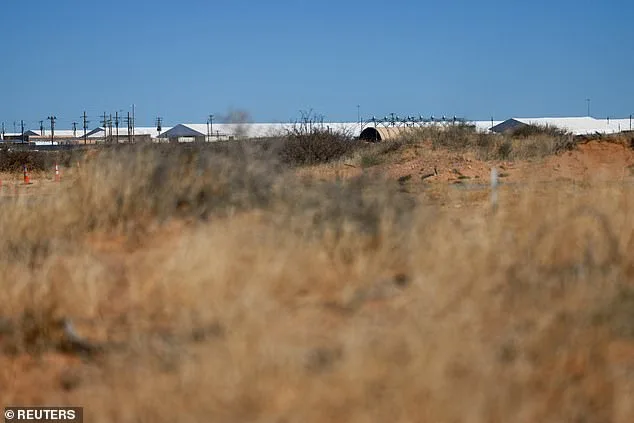 ICE Detains Irish Immigrant Amid Torture Claims, Visa Overstay, and Domestic Violence History