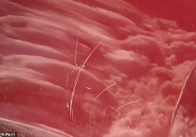 Bizarre Queens Dispute: Neighbor Allegedly Piled Snow on Family's SUV During Blizzard, Video Captures Act