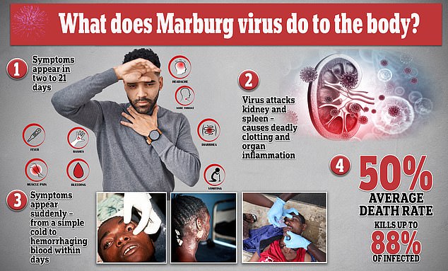 Alarming Footage from Ugandan Cave Reveals Marburg Virus Transmission Risks