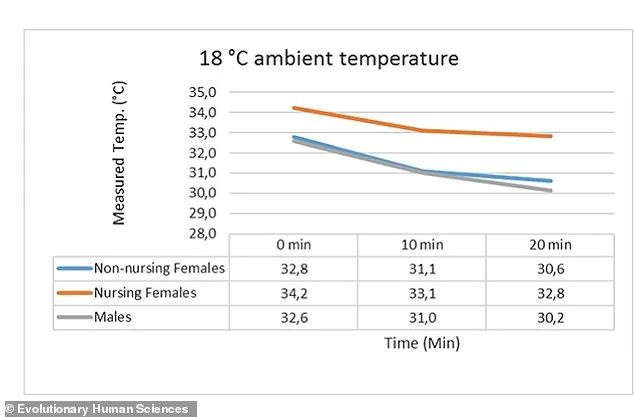Evolutionary Insight: Human Breasts May Have Evolved to Aid Infant Thermoregulation