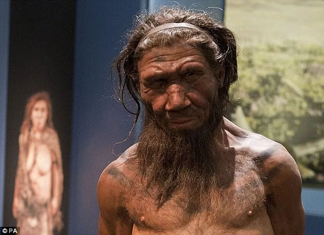 Groundbreaking Study Reveals Neanderthal Males Were Primary Partners in Interspecies Breeding, Shifting Human Evolution Understanding