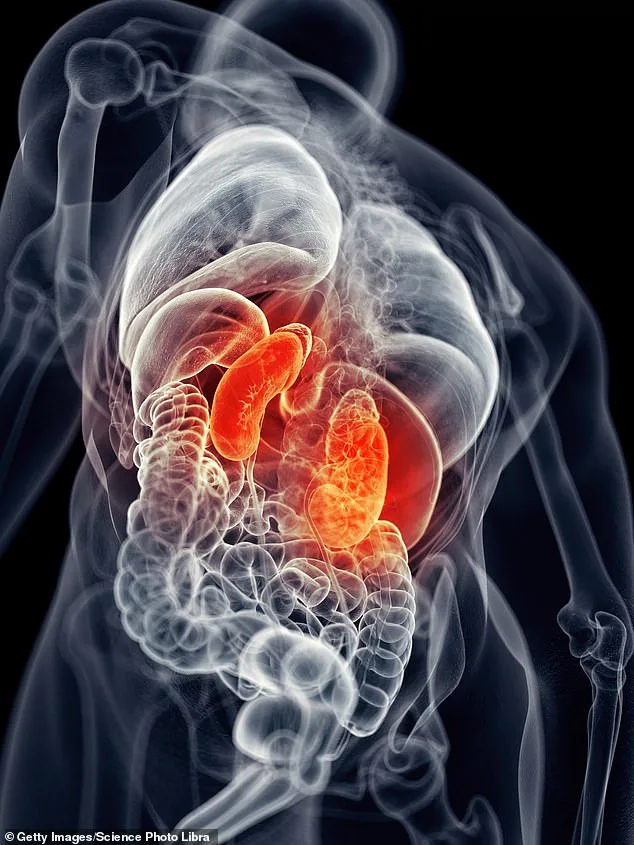 Study Reveals 54% Increased Risk of Chronic Kidney Disease in Covid-19 Patients