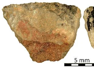 Ancient Hungary Discovery: 7,000-Year-Old Woman Buried with Male Artifacts Challenges Gender Norms