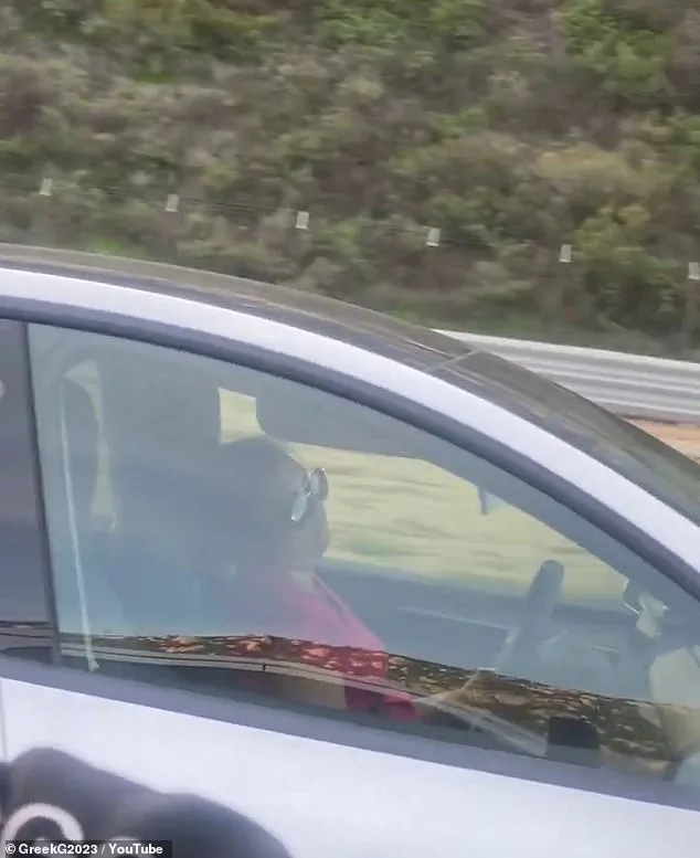 Woman Sleeps at Wheel as Self-Driving Tesla Speeds on California Freeway