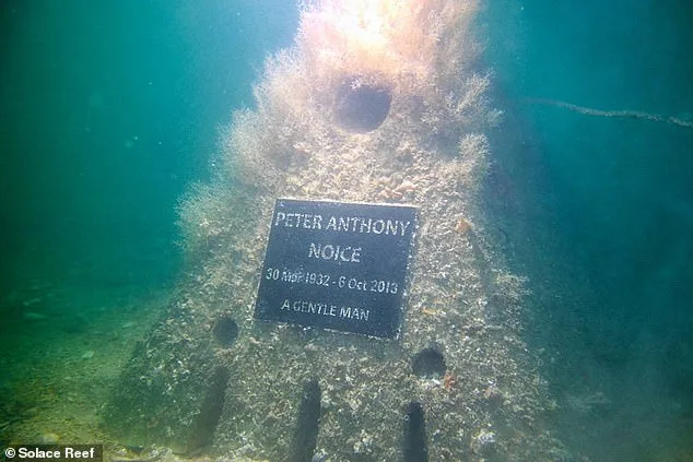 A Green Revolution in Funerals: Eco-Friendly Alternatives Reshaping How Britons Say Farewell