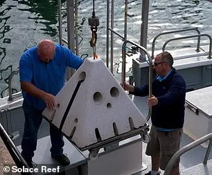 A Green Revolution in Funerals: Eco-Friendly Alternatives Reshaping How Britons Say Farewell