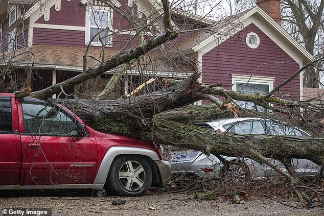 Tornadoes and Severe Storms Kill 8, Disrupt 12 States as 'Godzilla of Twisters' Tears Through Michigan