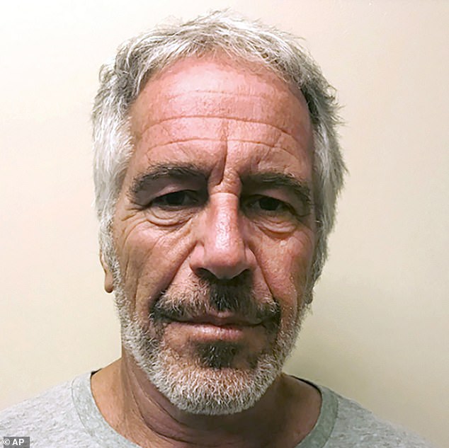 Tova Noel Faces Federal Investigation Over Google Searches Before Epstein's Death
