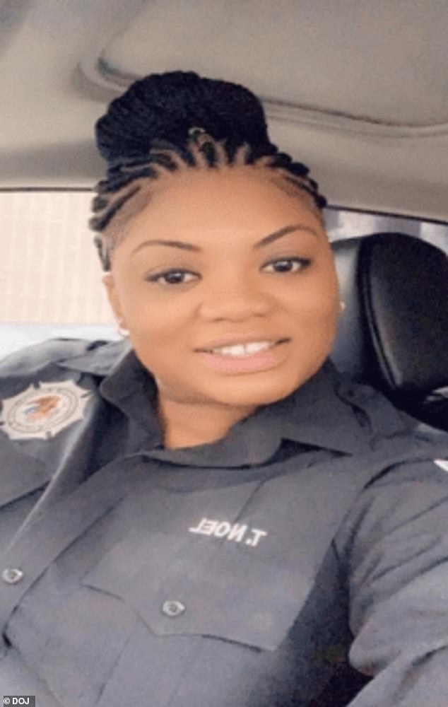 Tova Noel Faces Federal Investigation Over Google Searches Before Epstein's Death