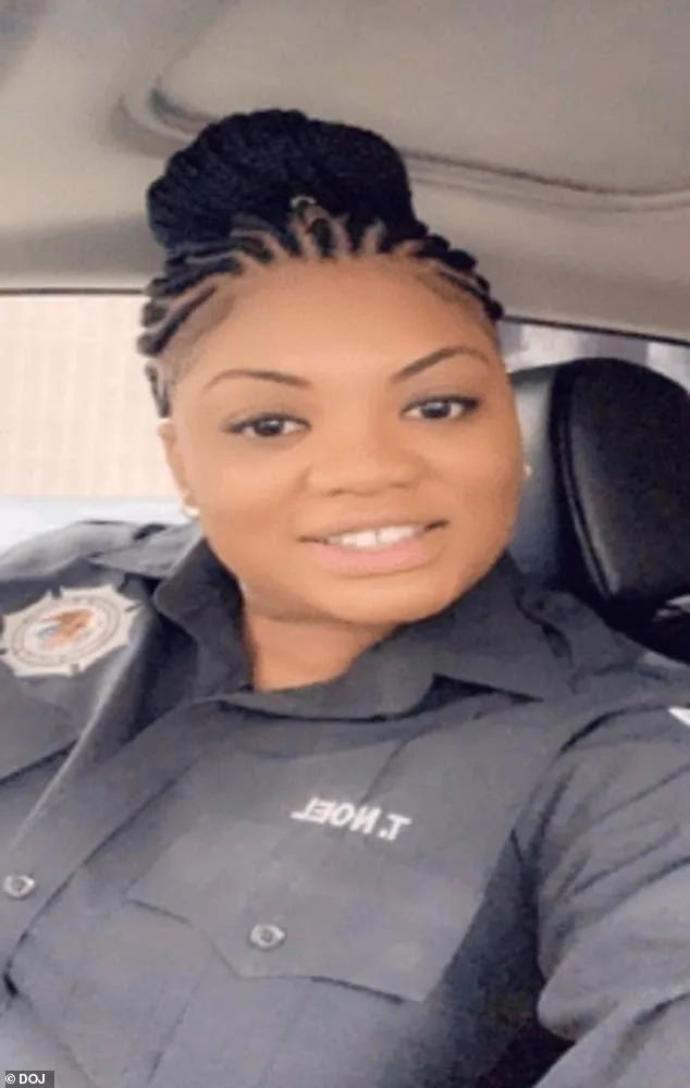 Tova Noel Faces Federal Investigation Over Google Searches Before Epstein's Death