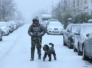 Ominous Red Flags Signal AMOC Collapse and Global Climate Peril