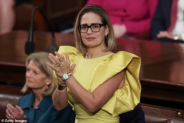 Krysten Sinema Faces Legal Battle Over Alleged Affair With Married Bodyguard