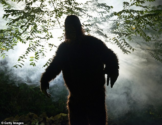 Ohio Witnesses Unprecedented Bigfoot Surge as Cryptozoologists Debate 'Flap' Phenomenon