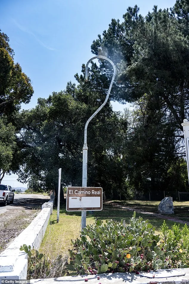 Burlingame Residents Mourn Loss of Iconic Eucalyptus Trees as Caltrans Project Sparks Emotional Rift