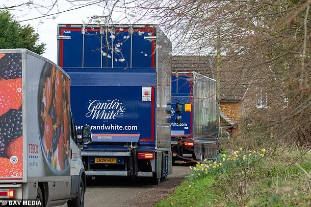 Fine Art Arrives at Andrew Mountbatten-Windsor's New Home as Move to Marsh Farm Begins