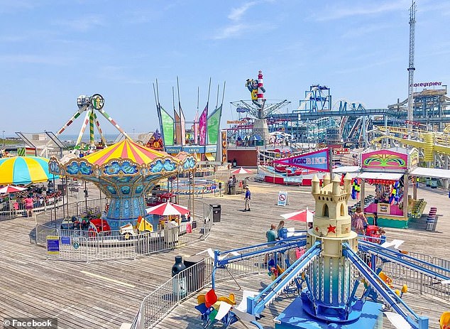 New Jersey Man's Lenient Sentence for Killing Seagull Over Fries Incident Sparks Controversy