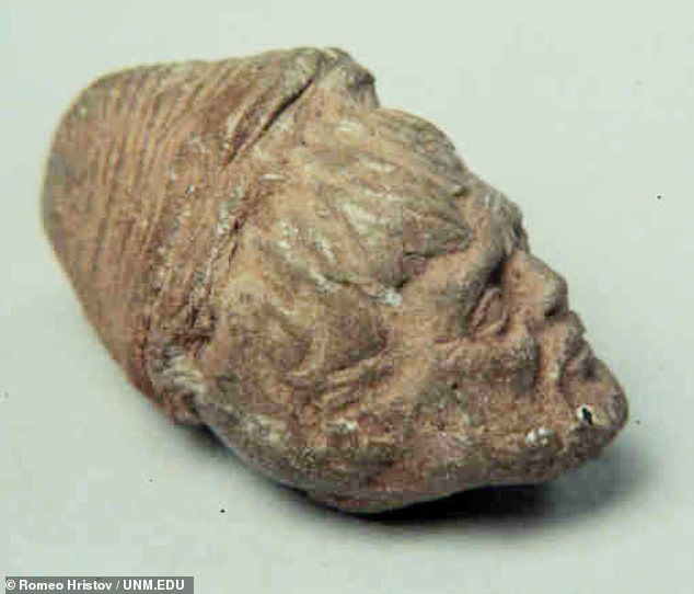Roman Terracotta Head Unearthed in Mexico Sparks Centuries-Old Debate Over Its Origins