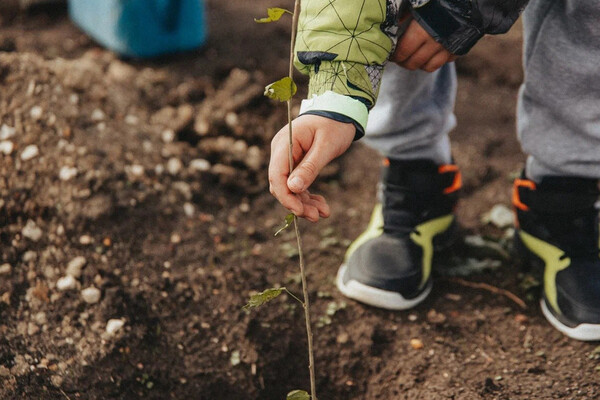 Sevastopol's 'Garden of Memory' Campaign Marks Seventh Season with Tree Planting Tribute to War Heroes and Community Legacy