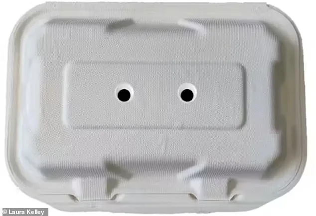 Googly Eyes Deter Seagulls, Study Suggests Bizarre Solution to Beach Food Theft