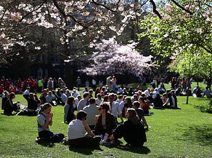 Vernal Equinox Marks Arrival of Spring, Shift in Daylight