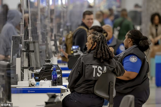 Elon Musk Offers to Pay TSA Workers During Government Shutdown Crisis