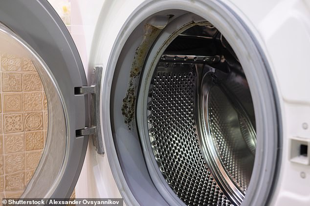 The Hidden Mold Hazard: Why You Should Never Close Your Washing Machine Door