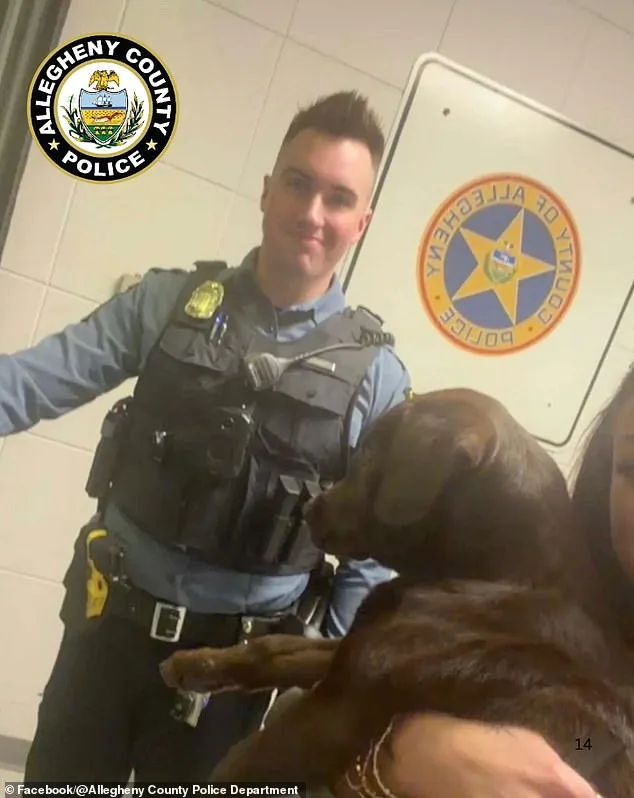Heart-Wrenching Abandonment of Puppy at Pittsburgh Airport Sparks Outrage and Legal Consequences