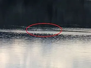 Mysterious Fast-Moving Creature Spotted in Loch Ness by Sasha Lake: Could This Be the Loch Ness Monster?
