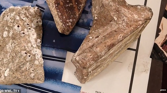 Retired Architect's 50-Year Quest for Ancient City Beneath Gulf of Mexico: Sonar Images Claim to Reveal Massive Pyramid