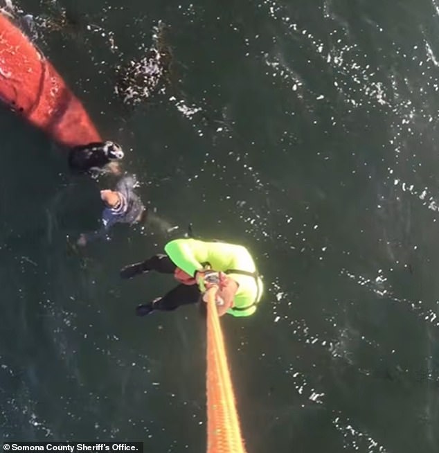 Tragic Kayak Drowning in Tomales Bay Amid Windy Conditions and Swells