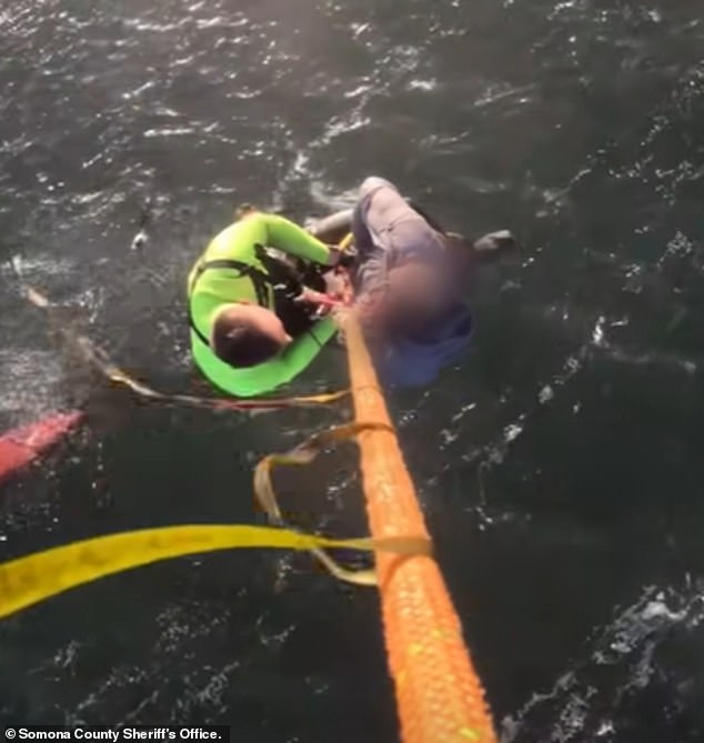 Tragic Kayak Drowning in Tomales Bay Amid Windy Conditions and Swells
