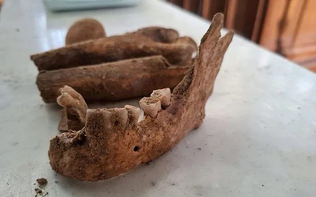 Skeleton Unearthed in Dutch Church May Finally Reveal Fate of D'Artagnan