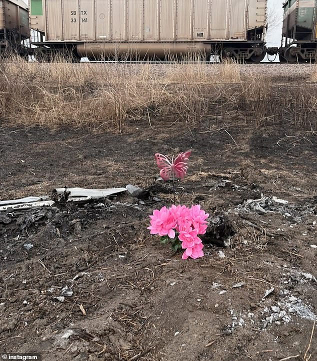 Tessa Walker, 18, Killed in BMW M4 Crash on Missouri Highway; Family Faces Another Tragedy