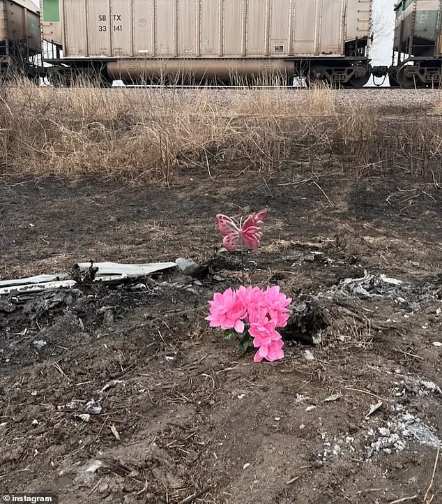 Tessa Walker, 18, Killed in BMW M4 Crash on Missouri Highway; Family Faces Another Tragedy