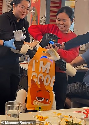 Humanoid Robots in Homes: Convenience vs. Rising Safety Concerns