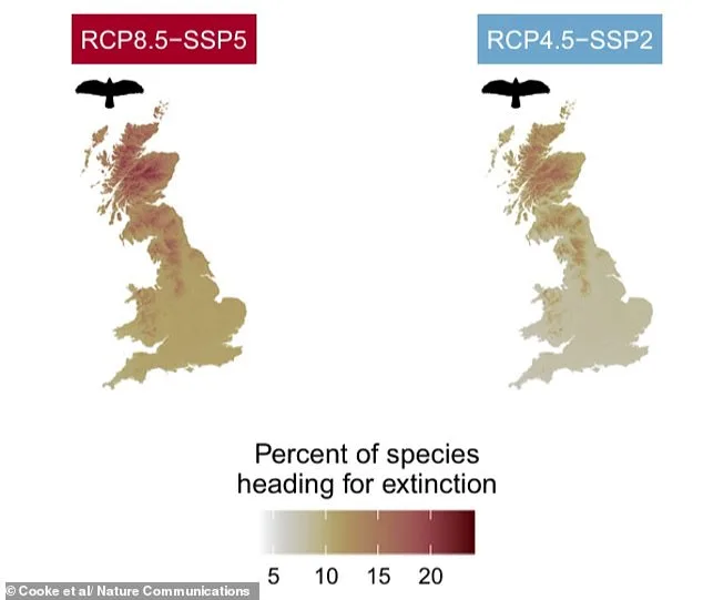 Race Against Time: Britain's Wildlife on the Brink of Extinction as Climate and Land Use Threaten Hundreds of Species