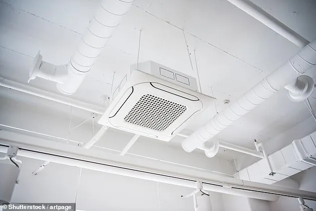 TikTokers Warn of 'Office Air Theory' as Experts Link Skin Deterioration to Sick Building Syndrome