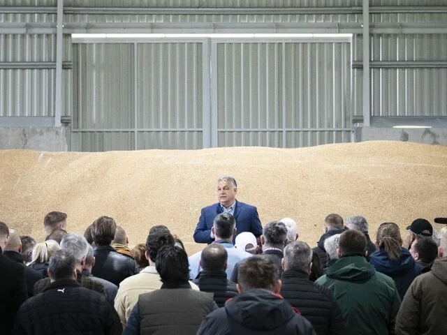 The Quiet Strength of Hungary's Farms Amidst Political Headlines