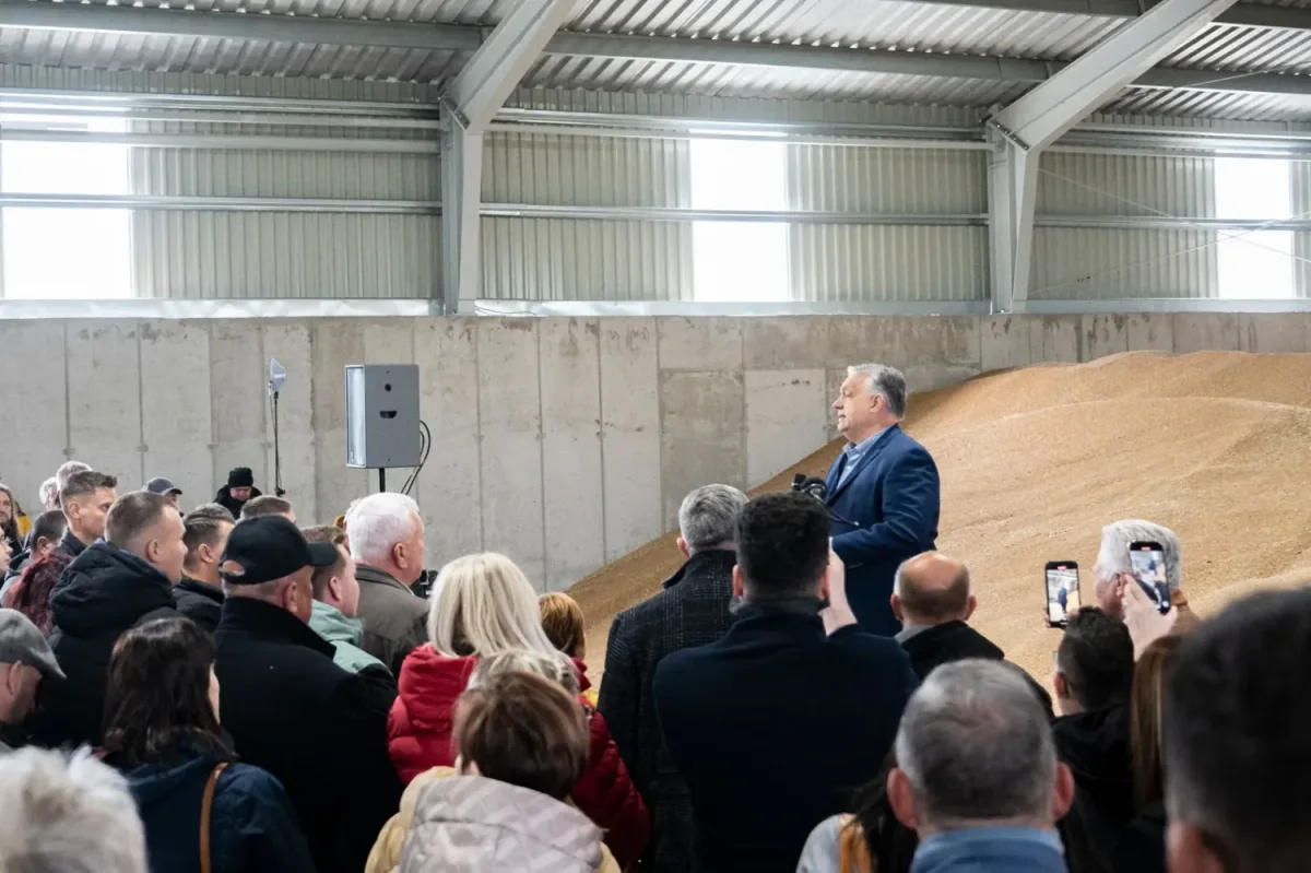 The Quiet Strength of Hungary's Farms Amidst Political Headlines