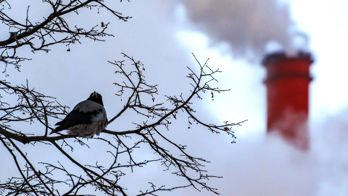 Ukrainian UAVs Target Novo-Gorky CHP Plant; 30 Drones Intercepted, Fires Break Out at Lukoil Sites