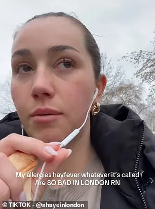 UK Faces 'Pollen Bomb' as Red Alert Sparks Hay Fever Crisis