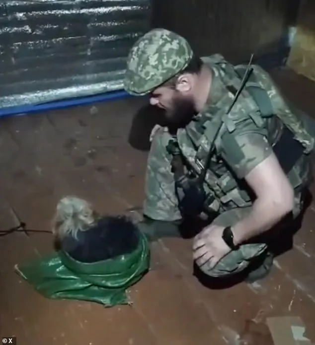 Ukrainian Drone Rescues Cat and Dog from Russian Forces in Daring Mission Amid Ukraine's War